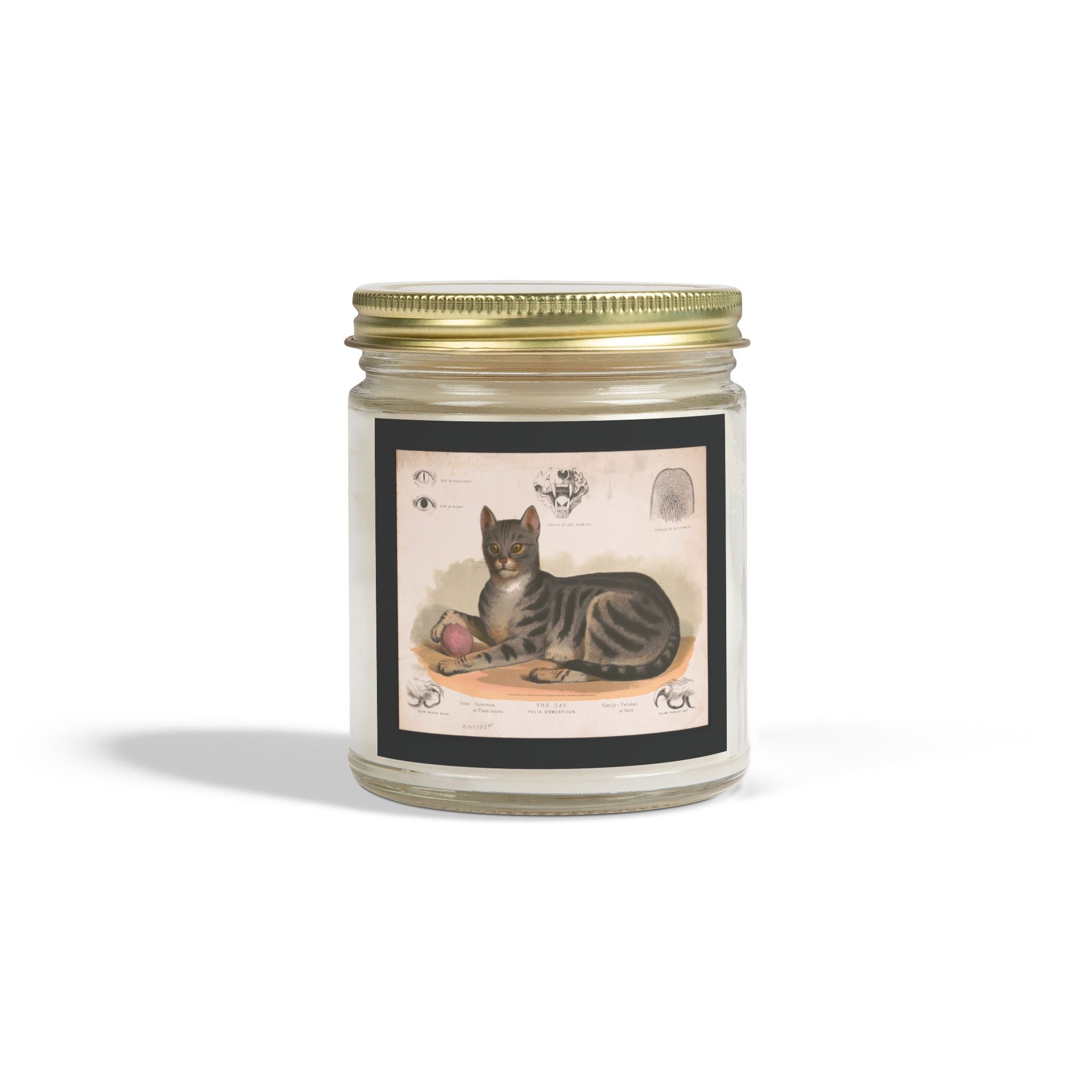 Vintage cat lithograph scented candle - coconut apricot wax
