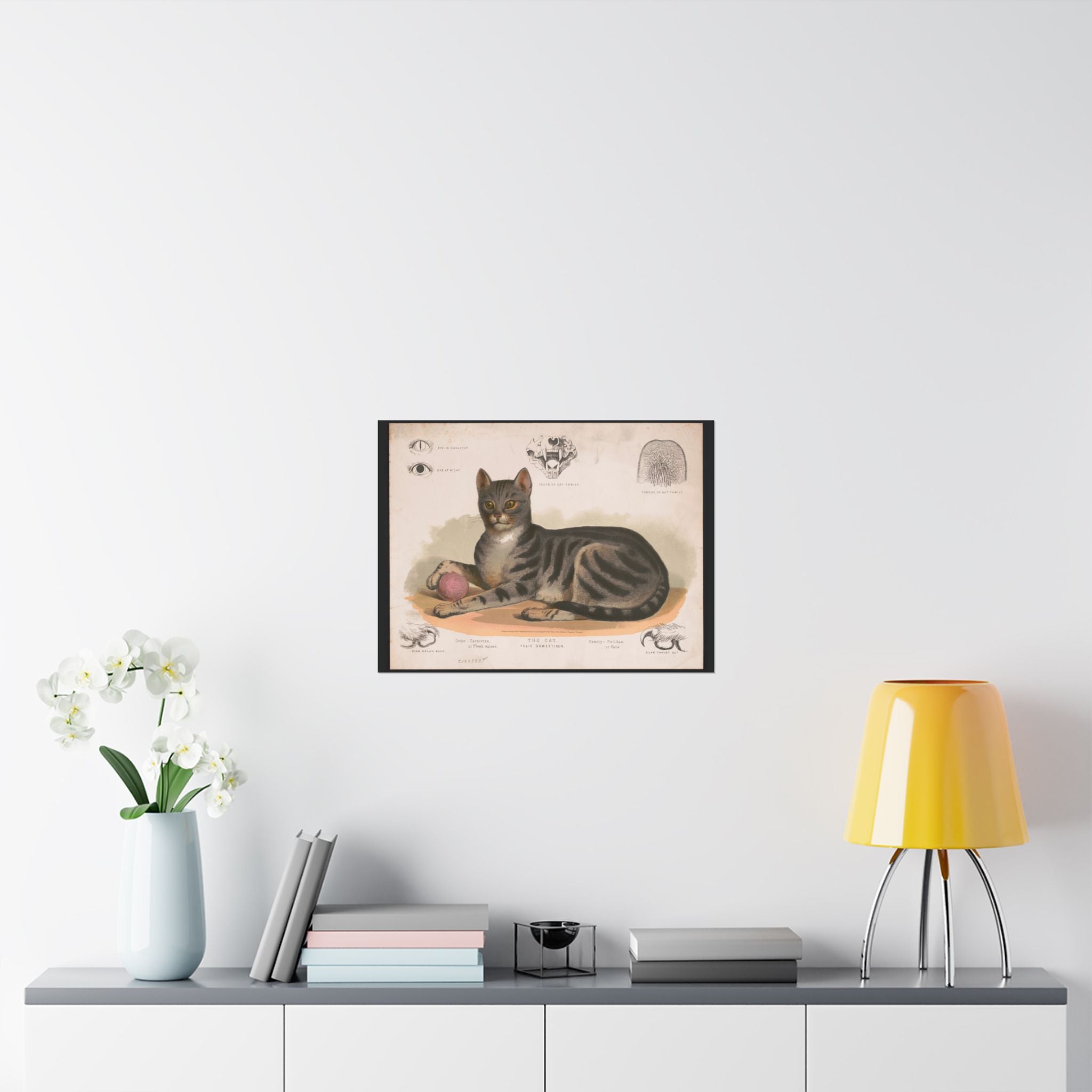 Vintage cat poster