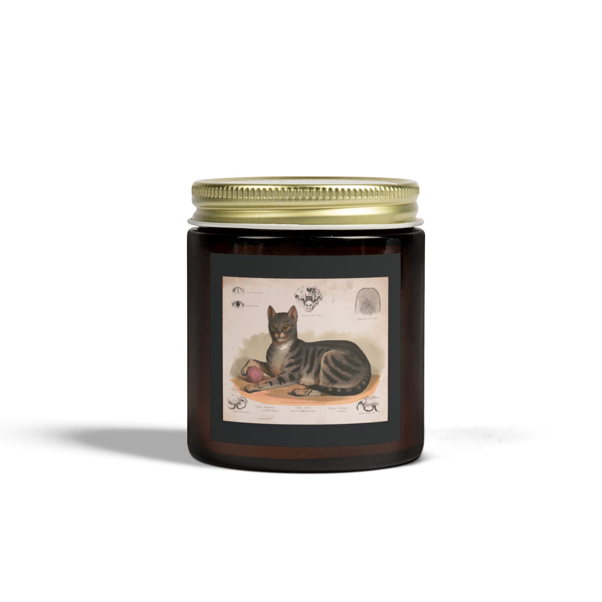 Vintage cat lithograph scented candle - coconut apricot wax