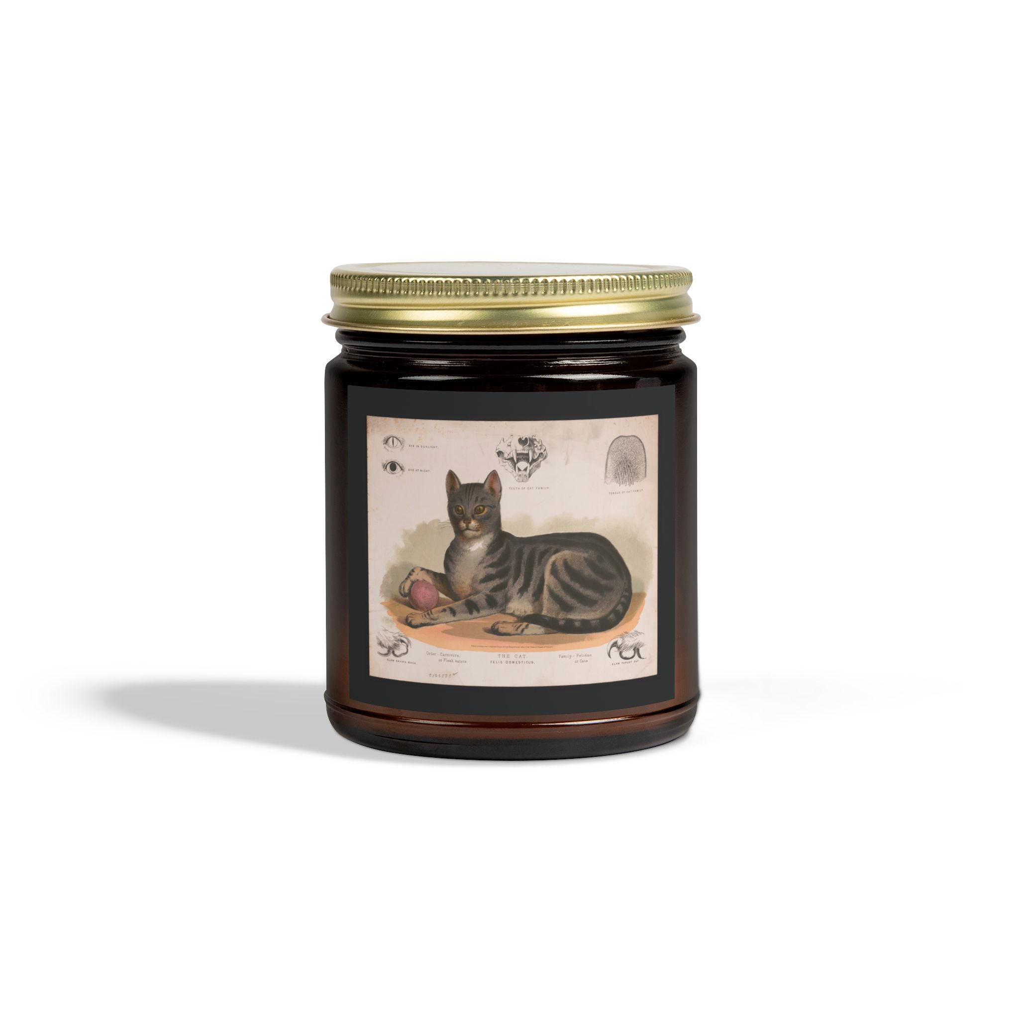 Vintage cat lithograph scented candle - coconut apricot wax