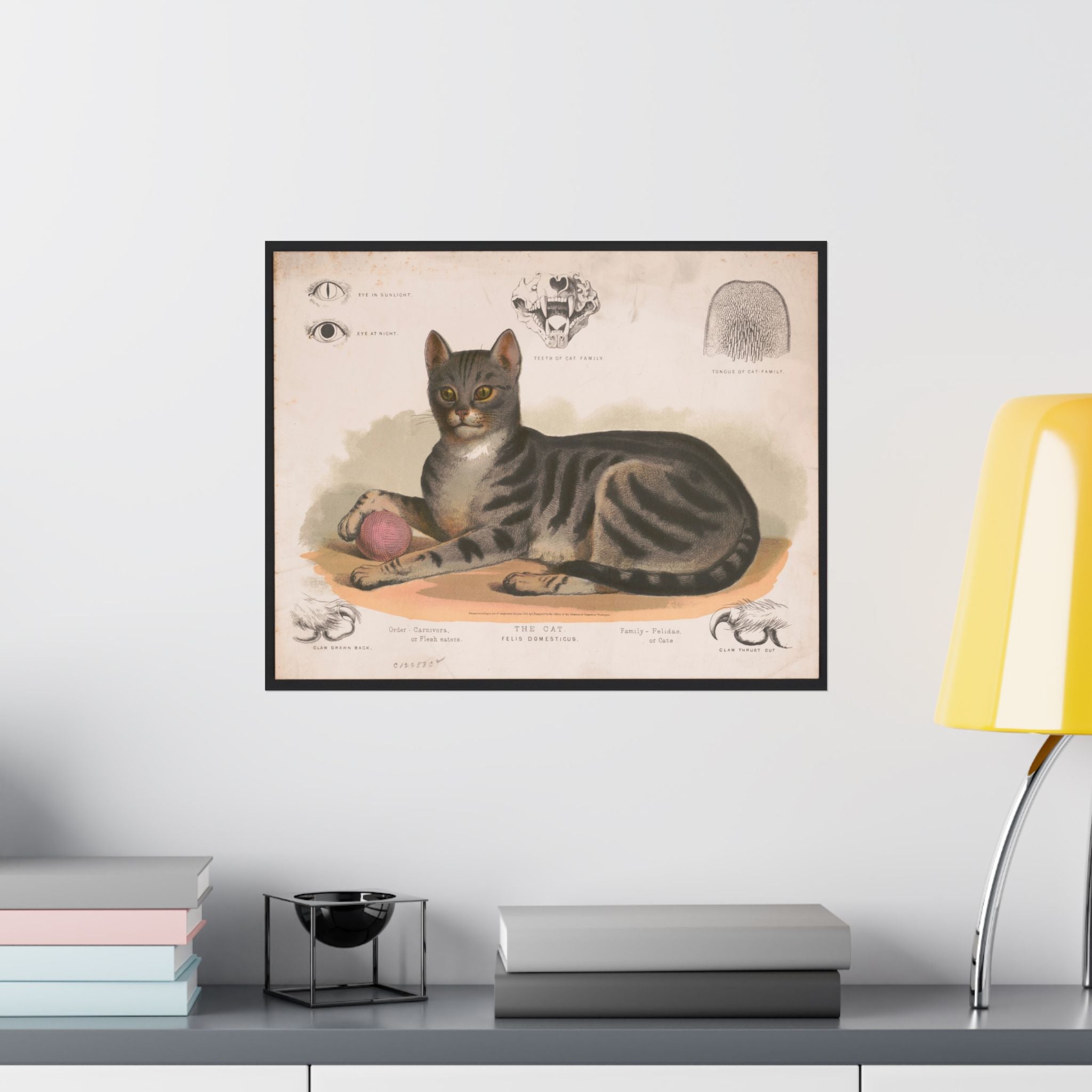 Vintage cat poster